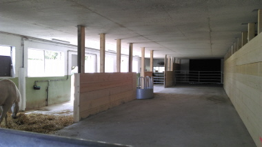 Freilaufstall Altersweide Leigrueb-Hof Villigen